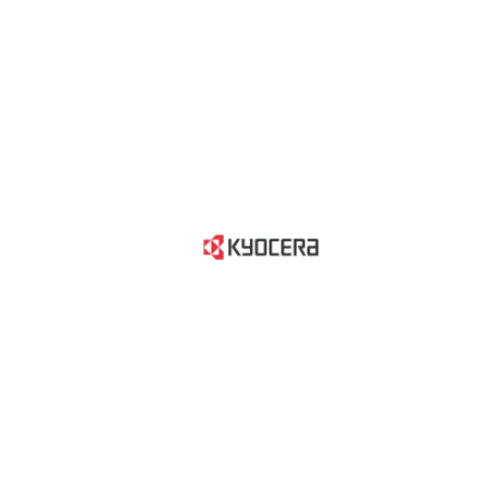 Программное обеспечение Kyocera KNM E-Terminal 1 pc license [ 870LSNM019 ]